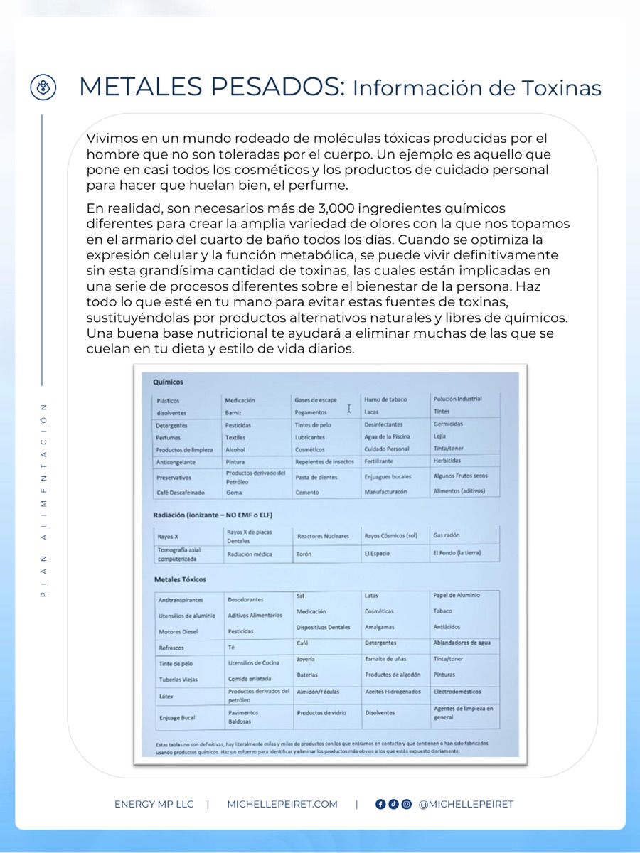 Página de tu plan de acción